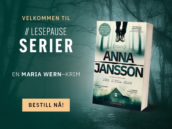 Maria Wern av Anna Jansson